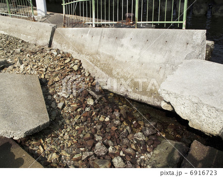 神戸港震災メモリアルパーク 6916723