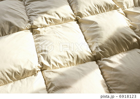 羽毛ふとんのキルティング 6918123