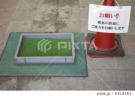 口蹄疫感染防止の消毒液の写真素材