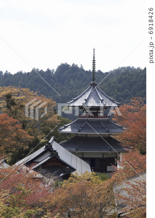 金峯山寺 金峯山寺 6918426