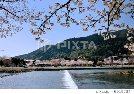 春の嵐山 春の嵐山 6919384