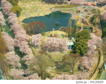 幸の池 幸の池 6919899