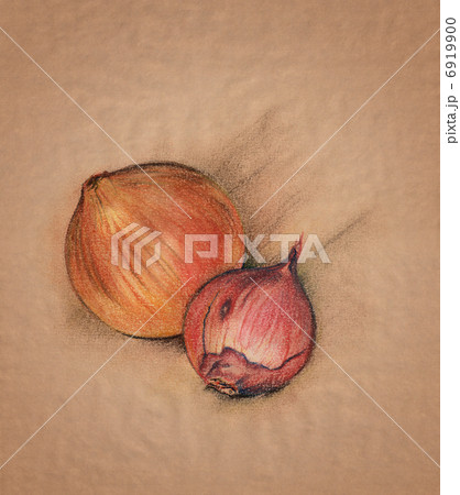 onion pastel drawing - tasty vegetables against brown textured paper onion pastel drawing - tasty vegetables against brown textured paper 6919900