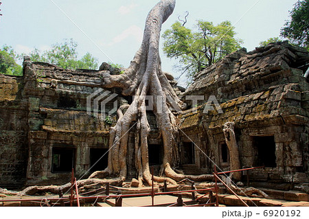 タプローム 6920192