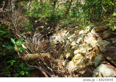 与路島派遣隊基地跡 / 第二砲台跡裏口から伸びる塹壕 6920949