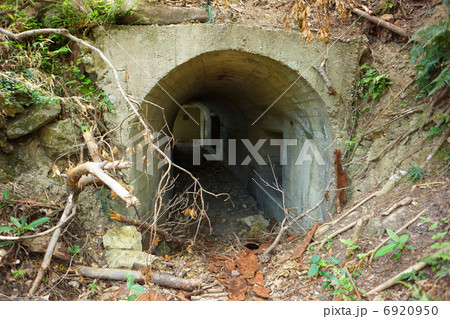 与路島派遣隊基地跡 / 第二砲台跡 裏口 与路島派遣隊基地跡 / 第二砲台跡 裏口 6920950