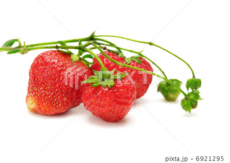 strawberry 6921295