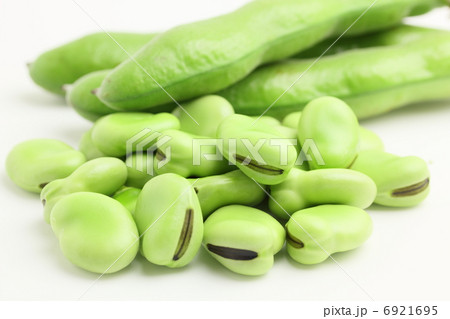 そら豆　野菜 6921695