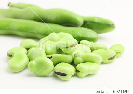 そら豆　野菜 6921696