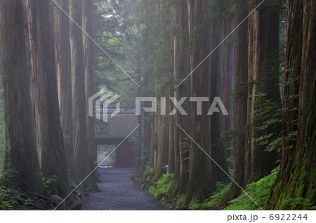 戸隠神社参道 6922244