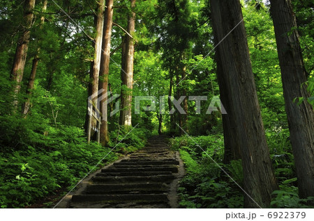 戸隠神社奥社参道 6922379