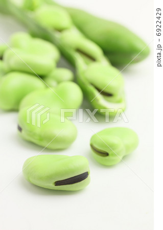 そら豆 野菜 そら豆 野菜 6922429