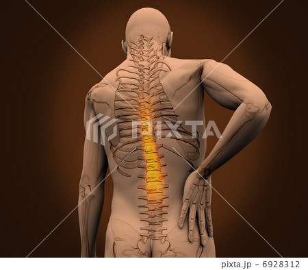 Digital skeleton having highlighted pain on his back 6928312