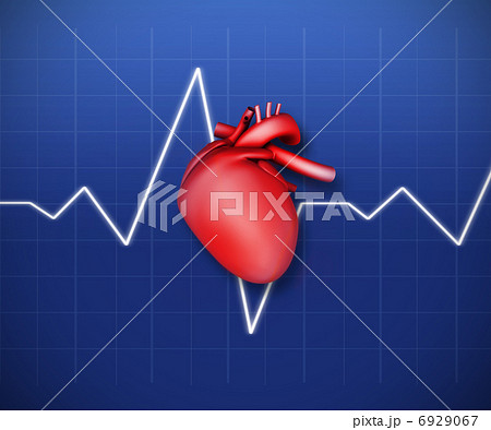 Diagram Of A Heart With Ecg Lineのイラスト素材