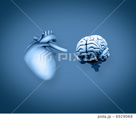 Heart and brain 6929068