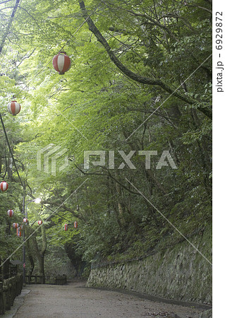 箕面国定公園明治の森 6929872