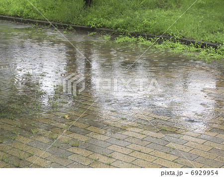 雨にぬれた歩道のタイル 6929954