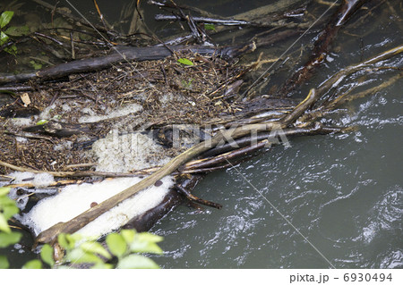豪雨で流れてきた流木とゴミ 豪雨で流れてきた流木とゴミ 6930494