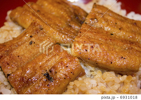 土用の丑のうなぎ丼 6931018