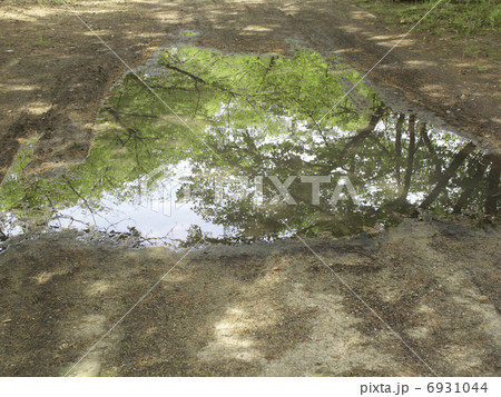 公園の水たまり 6931044
