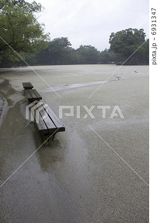 雨のグラウンドのベンチ 6931347