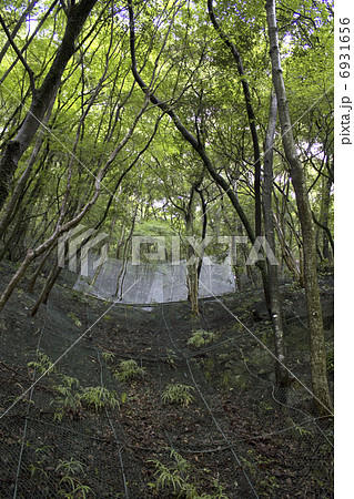 山肌の落石防止ネット 山肌の落石防止ネット 6931656