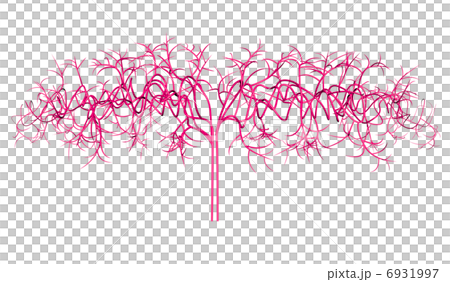 末梢神経・毛細血管(透明バック・左右展開) 末梢神経・毛細血管(透明バック・左右展開) 6931997