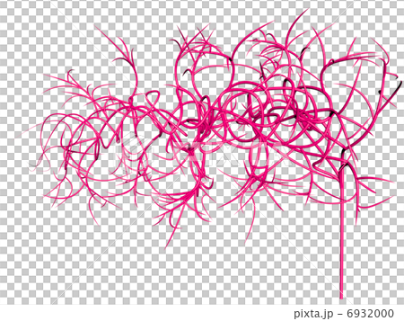 Peripheral nerve · capillary (transparent back · left deployment) 6932000