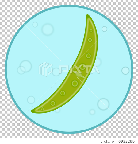 ミカヅキモ 6932299