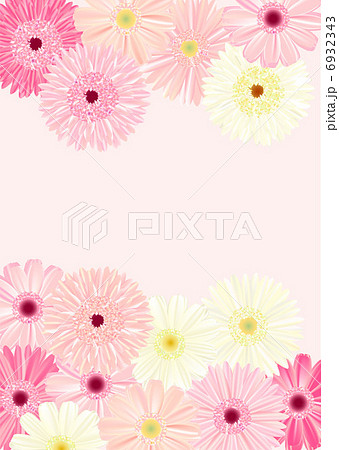 ガーベラの背景ピンク縦のイラスト素材 6932343 Pixta