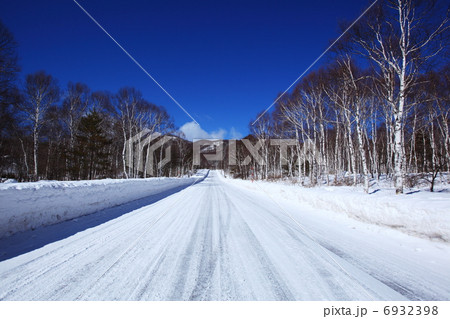 白樺並木と雪道 6932398