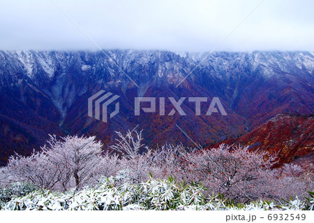 谷川岳の紅葉と冠雪 谷川岳の紅葉と冠雪 6932549