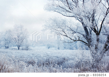 winter evening landscape with falling snow 6936054