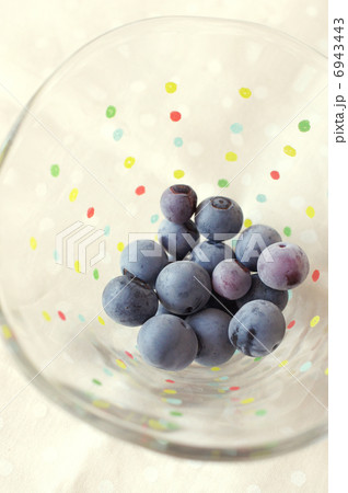 ブルーベリー 6943443