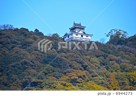 錦帯橋から見た「岩国城」(山口県岩国市横山) 錦帯橋から見た「岩国城」(山口県岩国市横山) 6944273