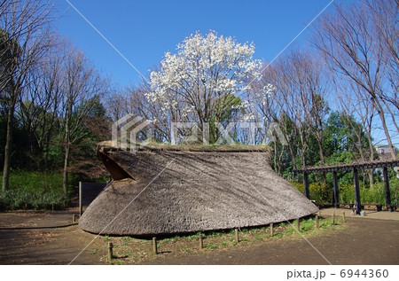 縄文の村 6944360