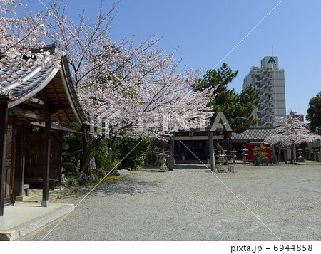八雲神社（三重県松阪市）・境内 6944858