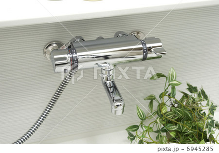 シャワーカラン シャワーカラン 6945285