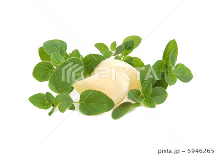 Ingredients for cooking 6946265