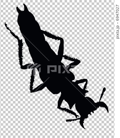 Insect isolated. Vector silhouette. EPS 8 6947027