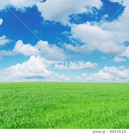 spring meadow 6947619