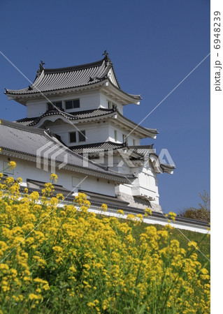 関宿城博物館 関宿城博物館 6948239