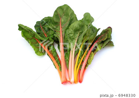 スイスチャード スイスチャード 6948330