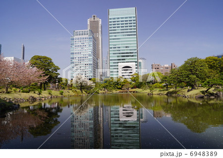 旧芝離宮恩賜庭園 6948389