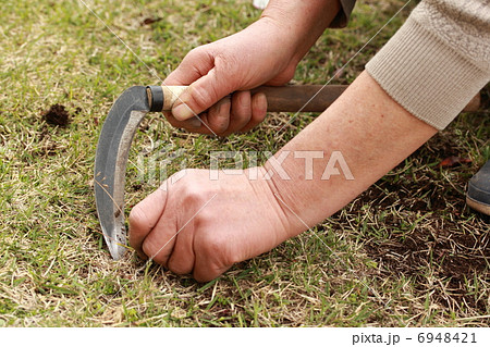 草刈鎌 6948421