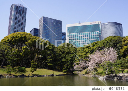 浜離宮恩賜庭園 6948531