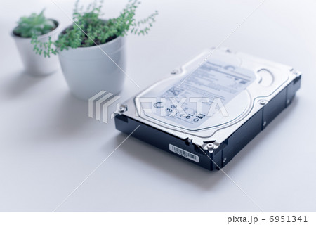 エコ、ネットビジネスイメージ:ハードディスクと植物 エコ、ネットビジネスイメージ:ハードディスクと植物 6951341