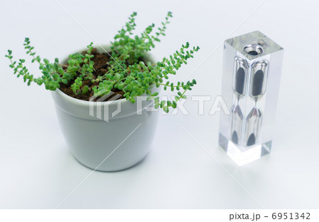 休息イメージ:植物と砂時計 休息イメージ:植物と砂時計 6951342