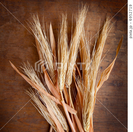 刈入れられた麦 6952719