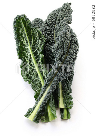 ブラックケール ブラックケール 6952932